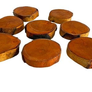 Live Edge Wood Coasters Set of 8 Sealed Wood Birch Farmhouse Nautical Natural